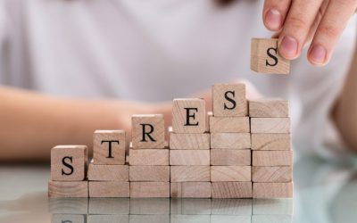W jaki sposób nasz organizm radzi sobie z sytuacją stresującą?